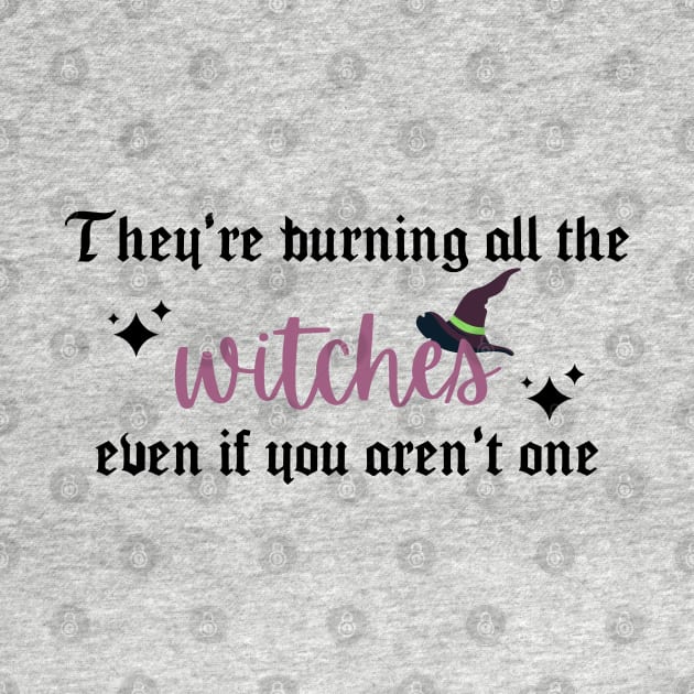 They're Burning All the Witches Taylor Swift by Mint-Rose